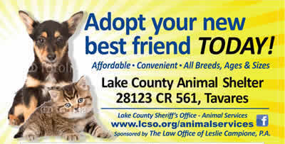 Lake County Animal Shelter